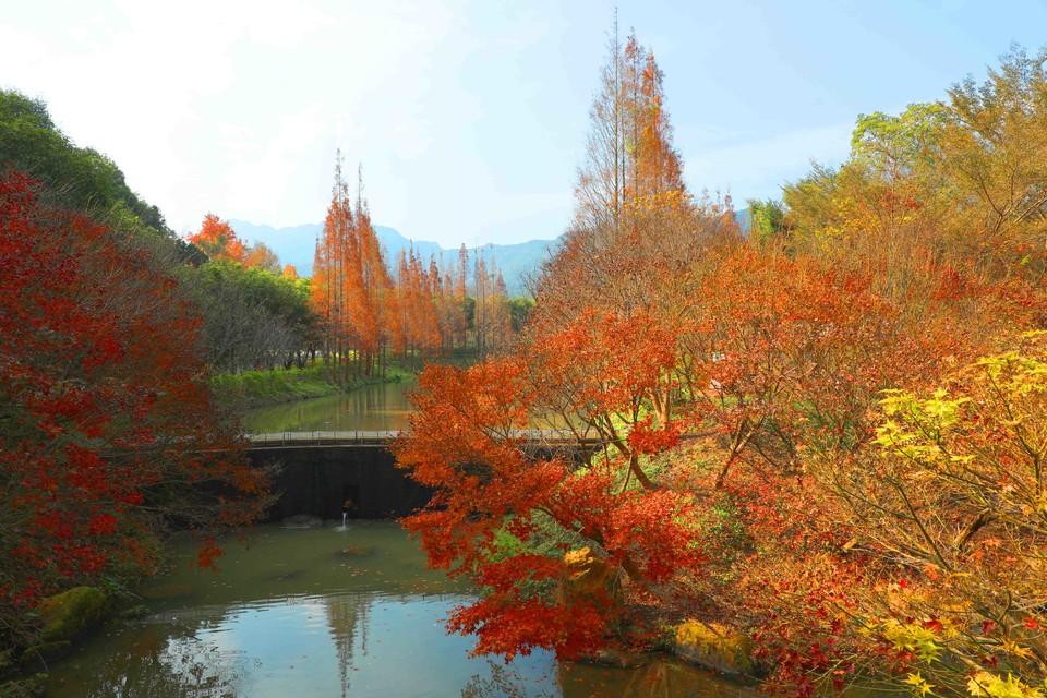 微信图片_20240103175318