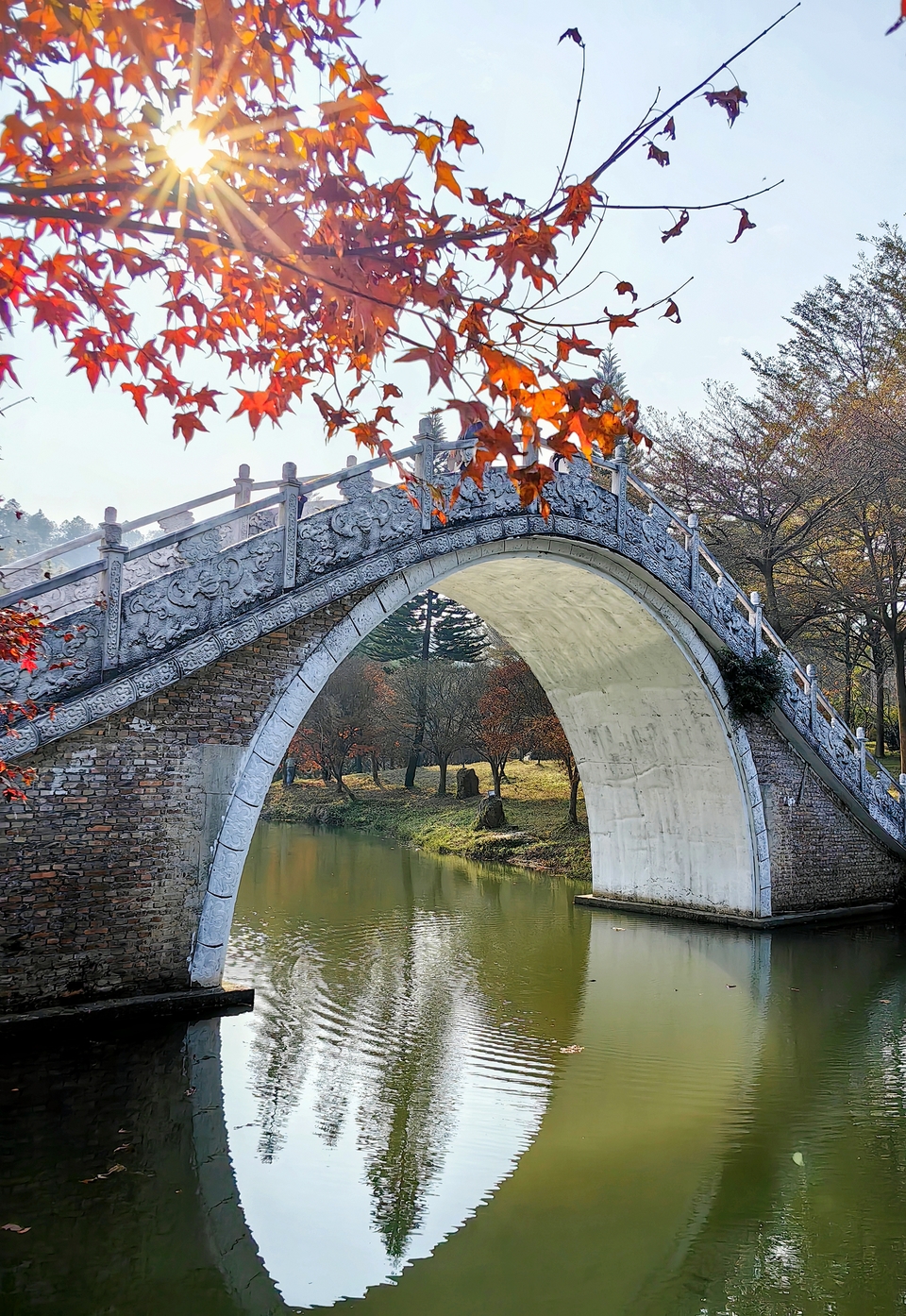 微信图片_20240103175319