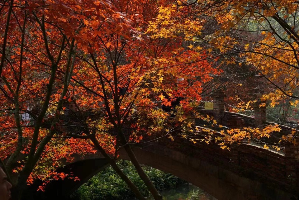 微信图片_20240103175320