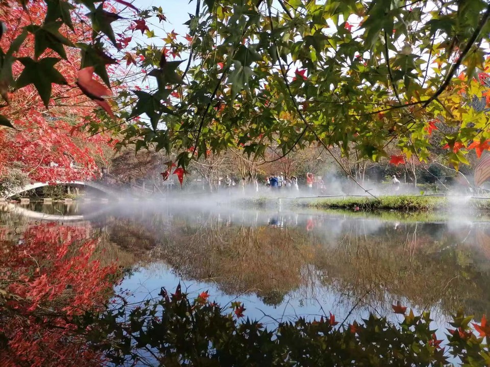 微信图片_202401031753181