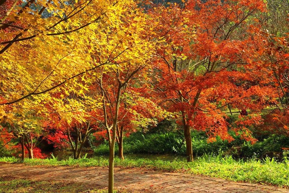 微信图片_202401031753191