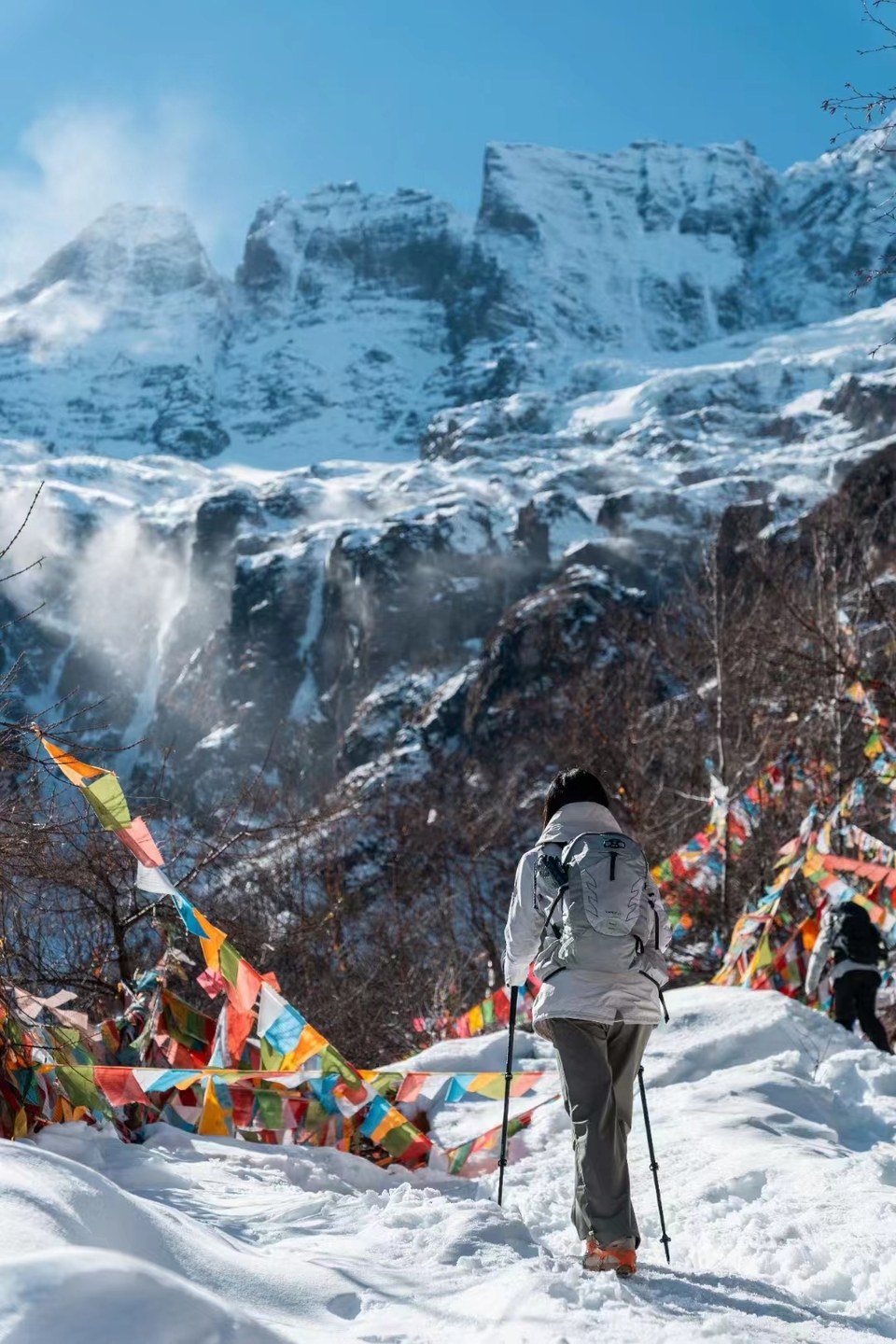 微信图片_202401031801521