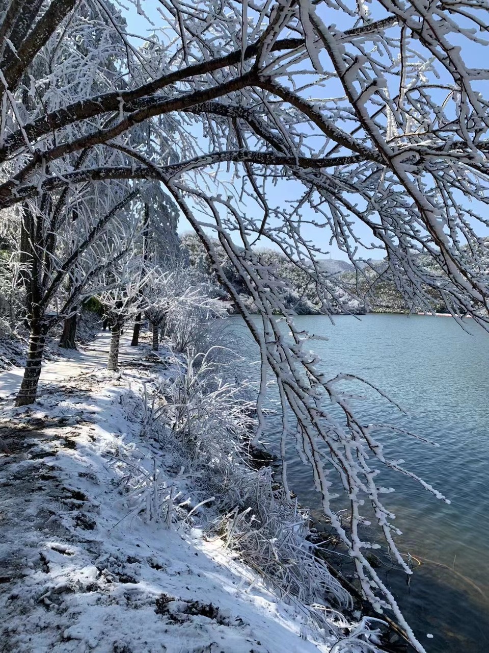 微信图片_202401031806091 - 副本