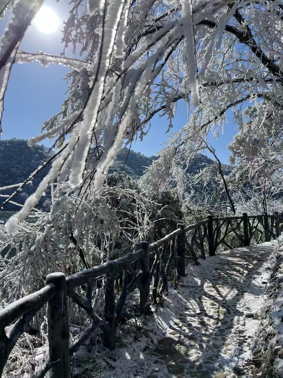 微信图片_20231225110931 - 副本