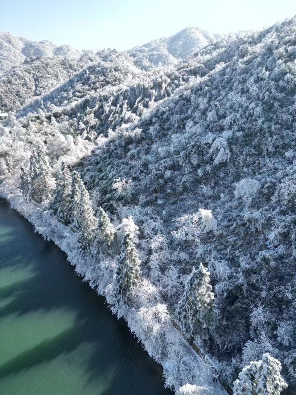 微信图片_20231225110933 - 副本