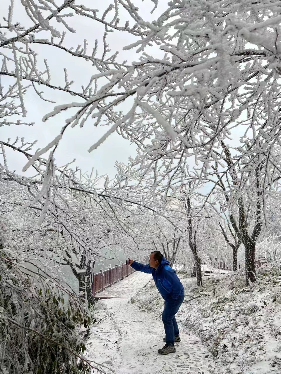 微信图片_20240103180610 - 副本