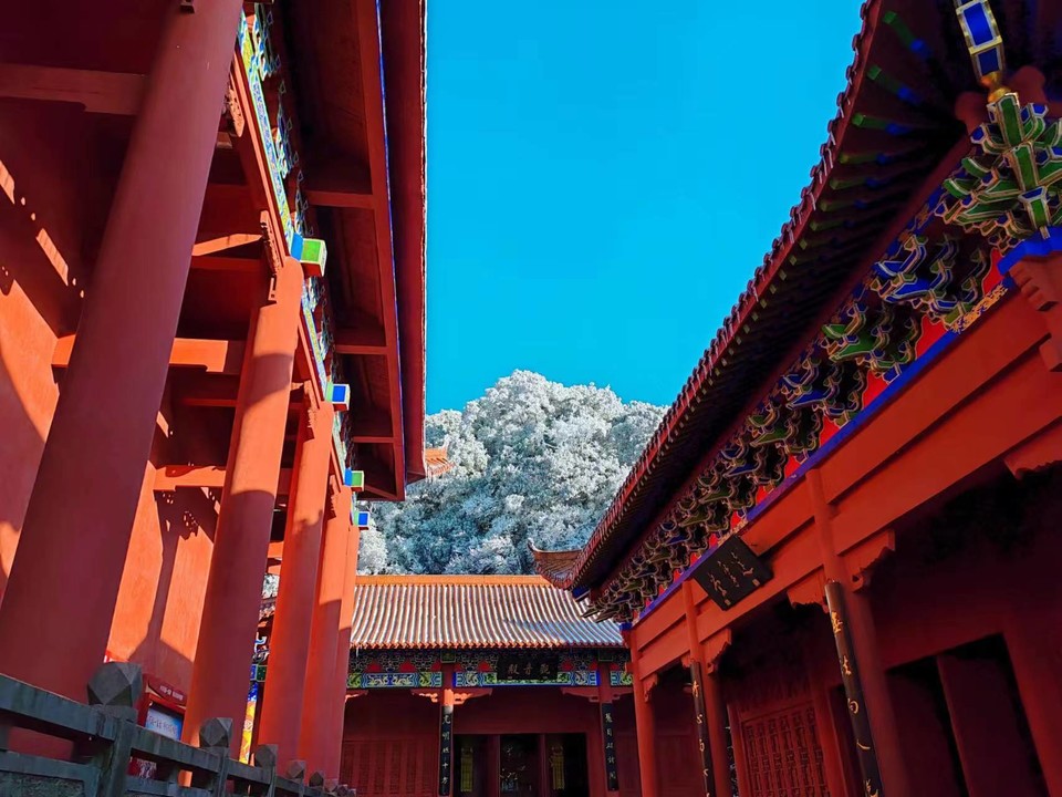 微信图片_20240103180611 - 副本