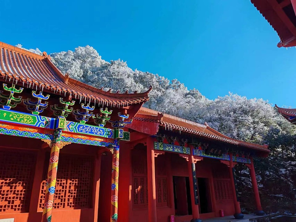 微信图片_20240103180612 - 副本