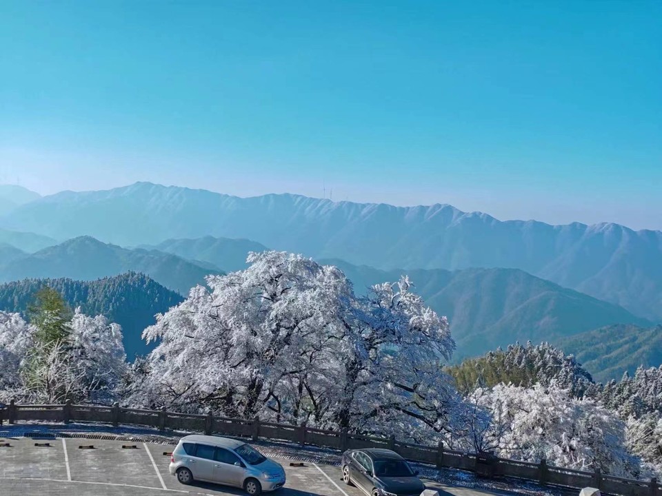 微信图片_20240103180613 - 副本