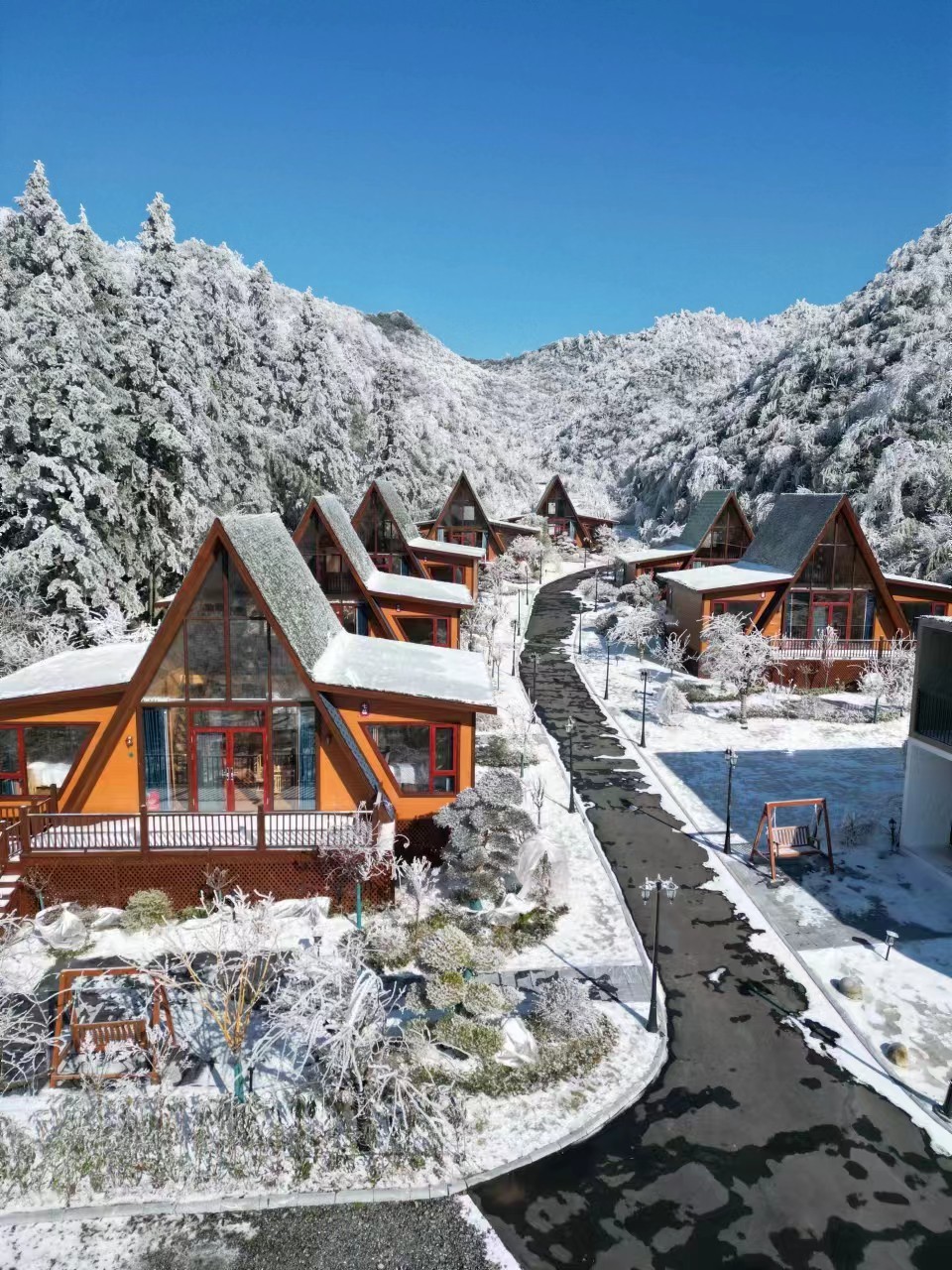 微信图片_20240103180617 - 副本