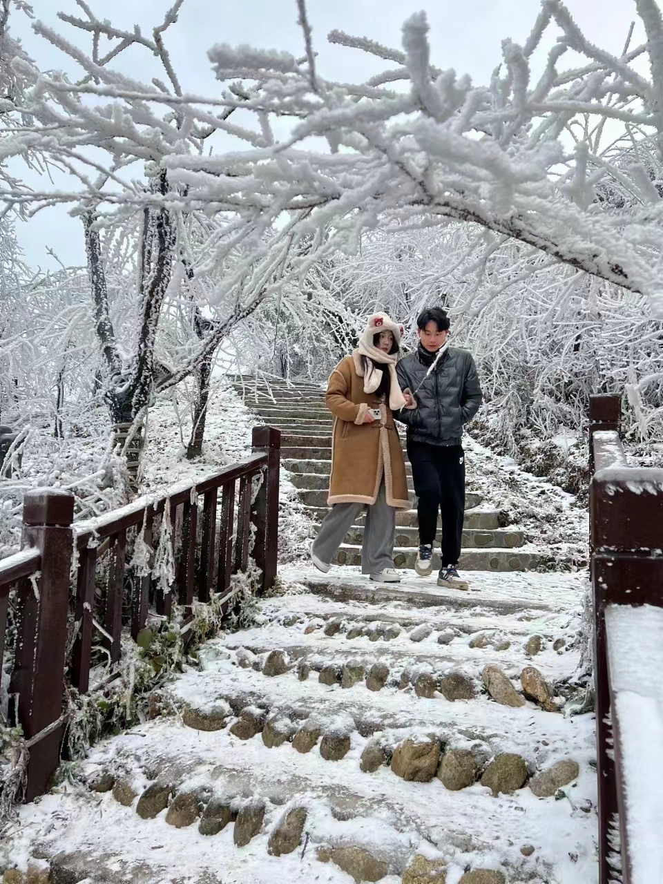 微信图片_202401031806101 - 副本