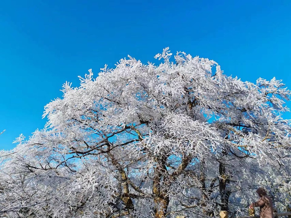 微信图片_202401031806121 - 副本