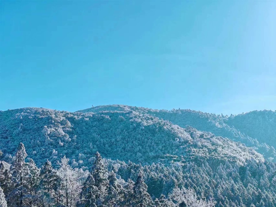 微信图片_202401031806141 - 副本