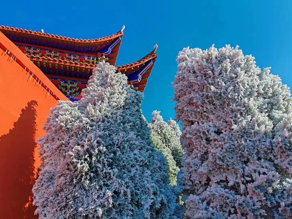 微信图片_202401031806151 - 副本