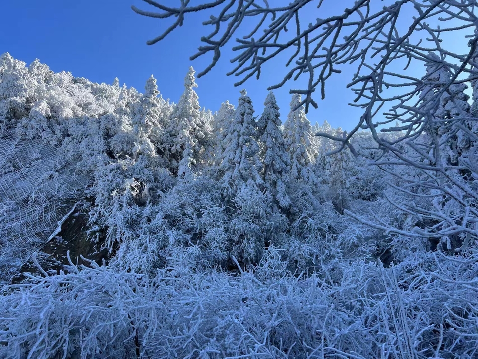 微信图片_202401031806161 - 副本