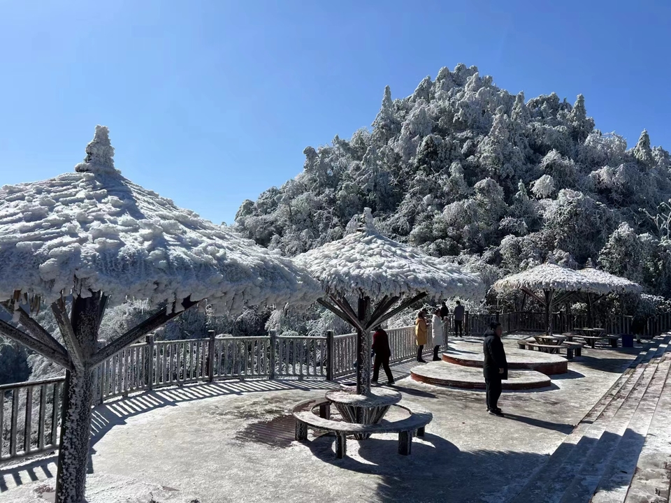 微信图片_202401031806181