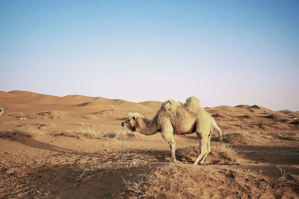 微信图片_20240428142542