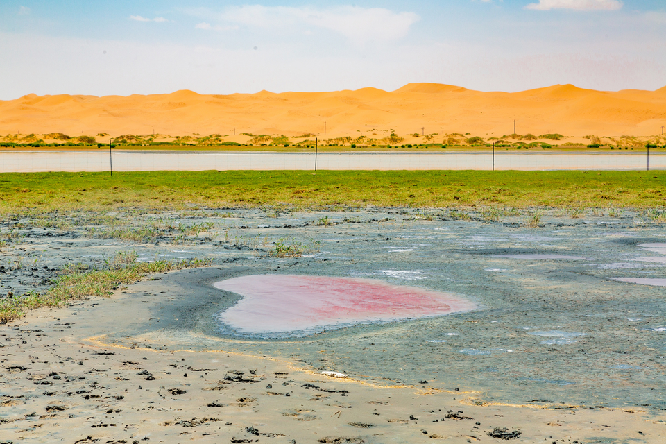 微信图片_20240428142558