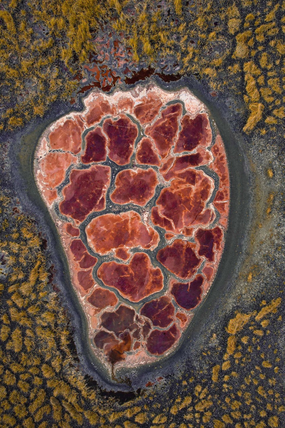 微信图片_20240428142608