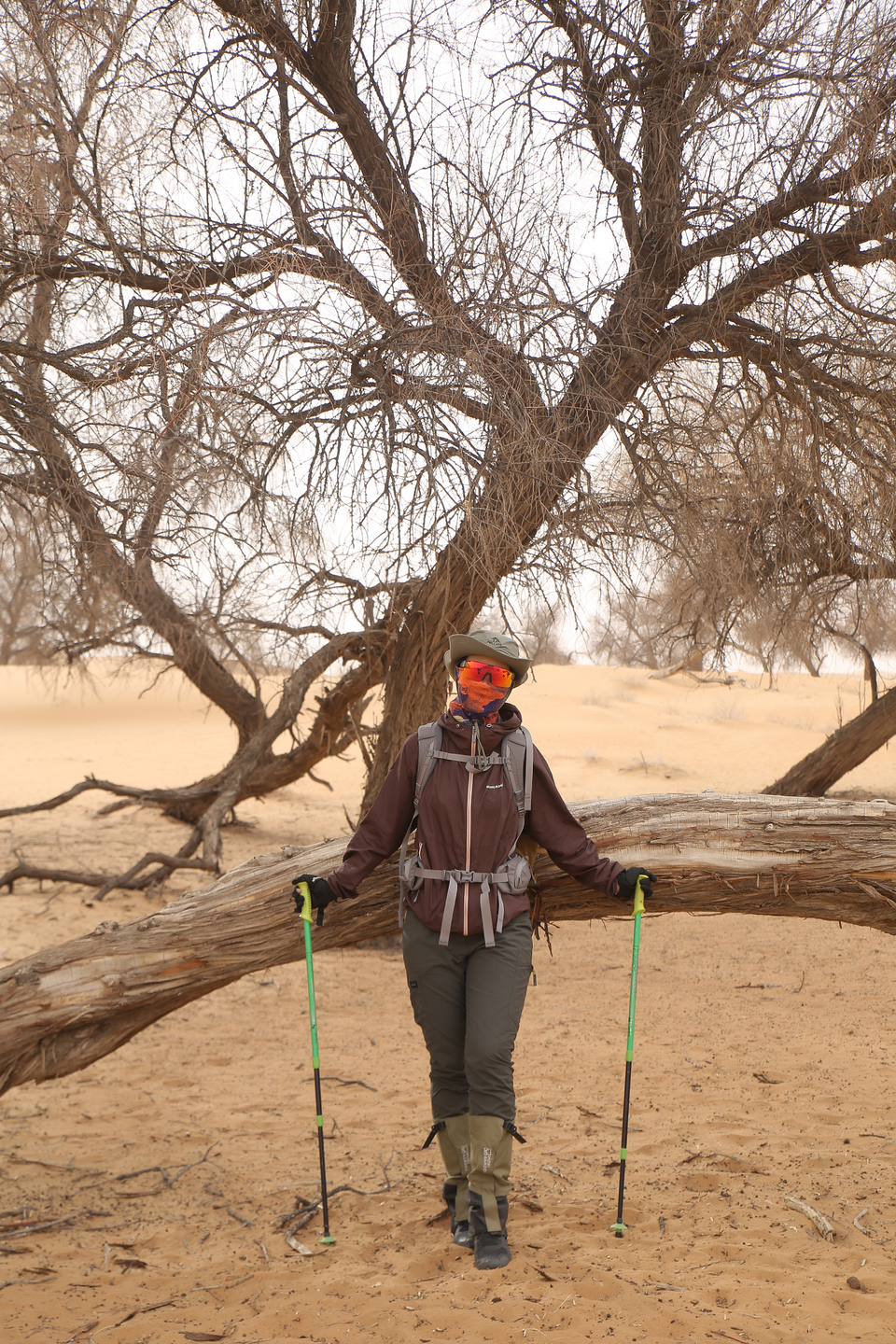 微信图片_20240428142405