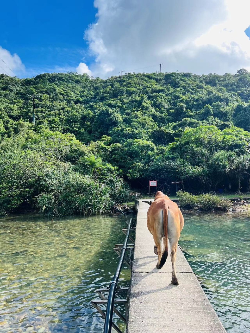 微信图片_20240625122330