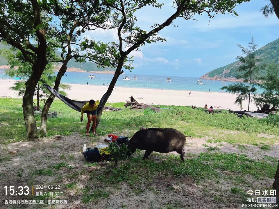 微信图片_20240625122118