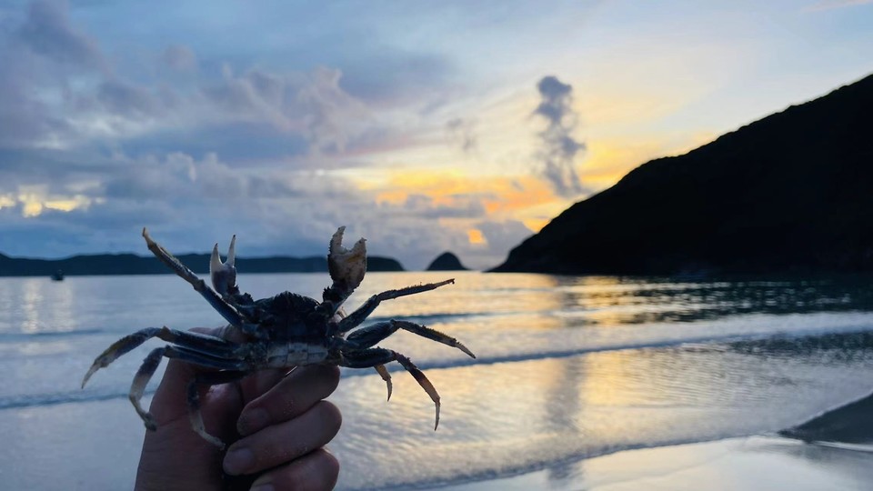 微信图片_20240625122038