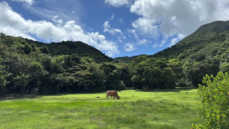 微信图片_20240625121922