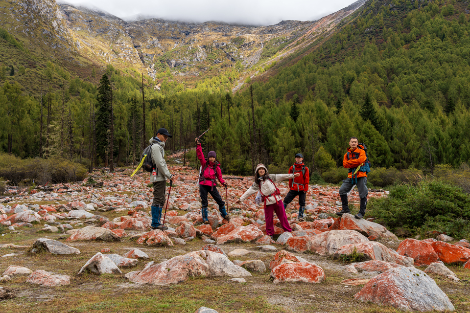 774bb5a966772d2640d65d07a7f10ba