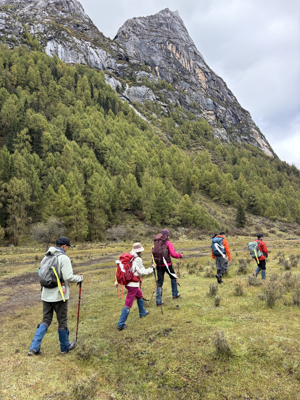 微信图片_20241017163952