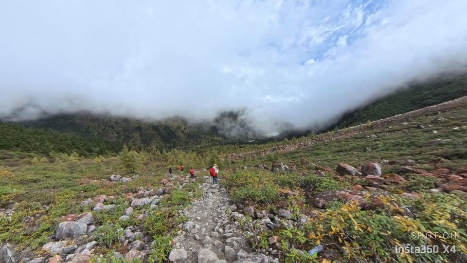 微信图片_20241017163955