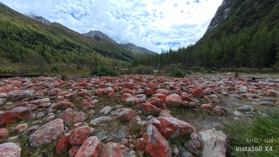 微信图片_20241017164002