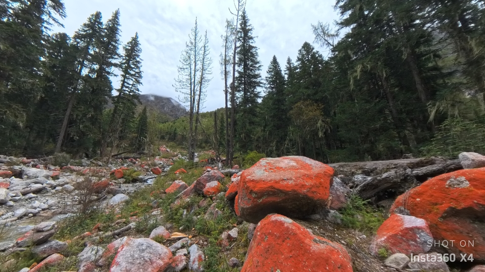 微信图片_20241017164004