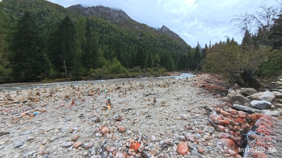 微信图片_20241017164006