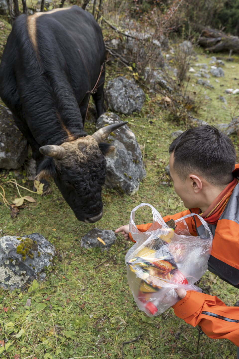 微信图片_20241017164017