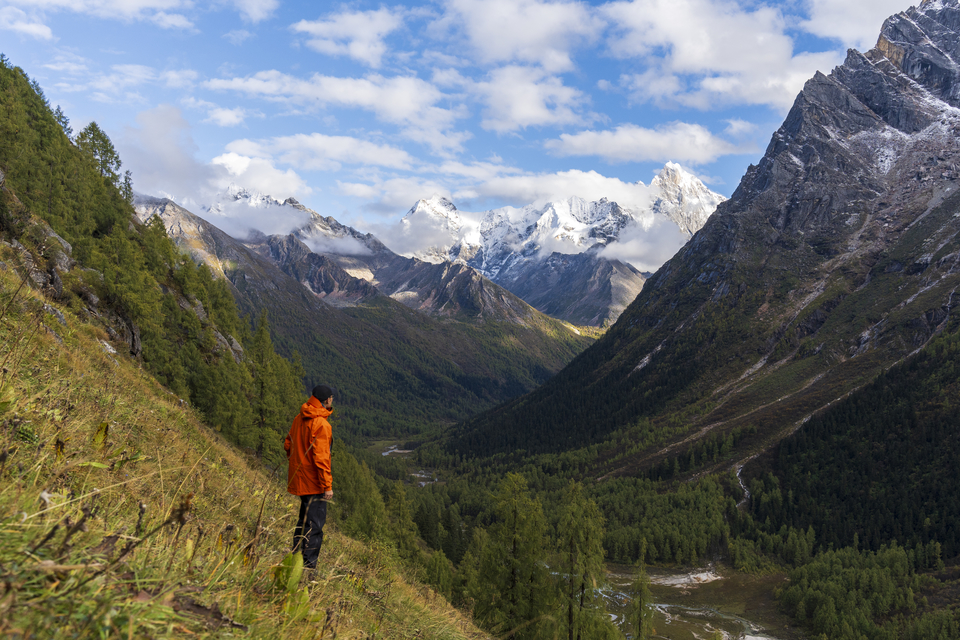微信图片_20241017164024