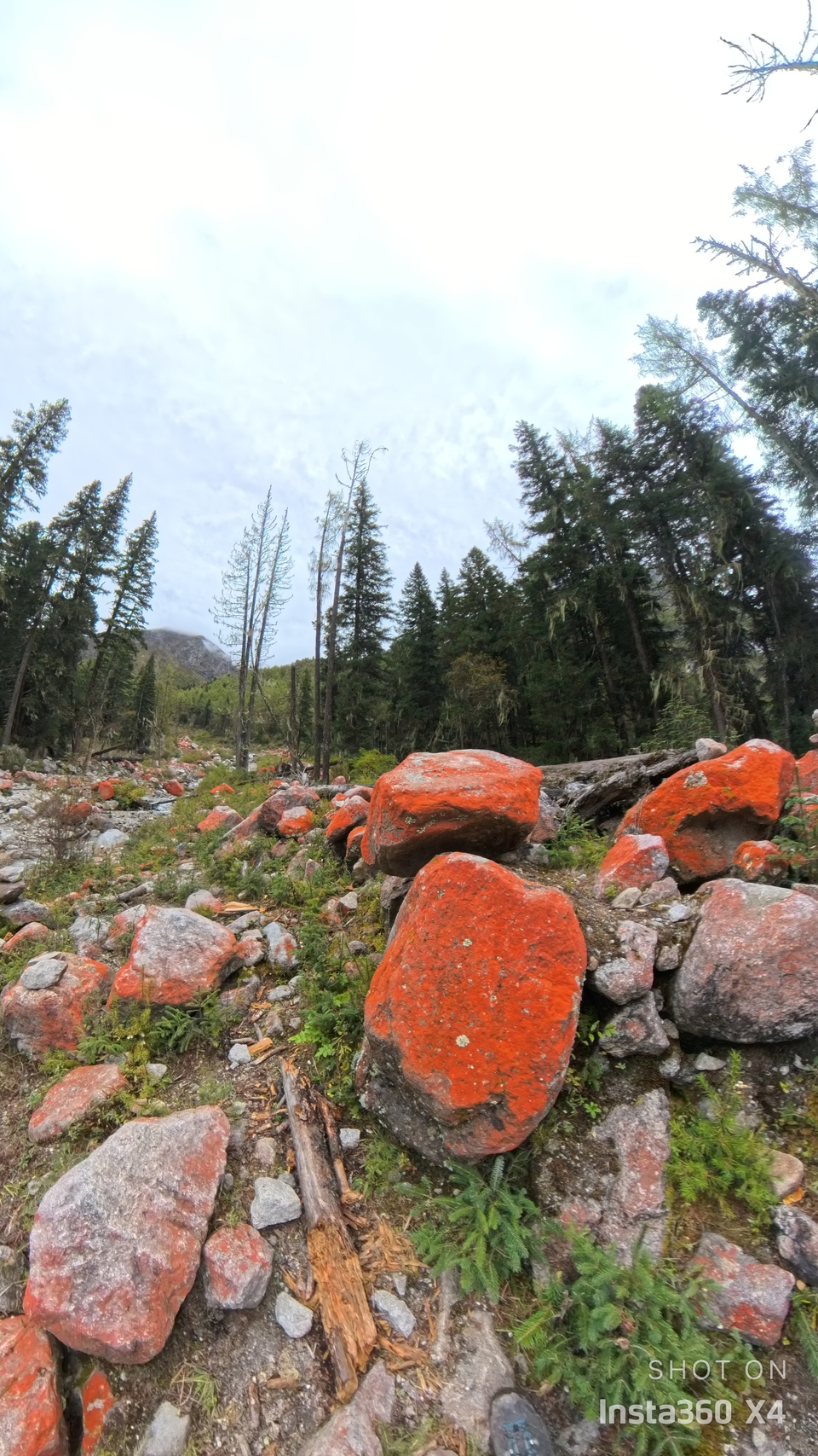 微信图片_20241017164040