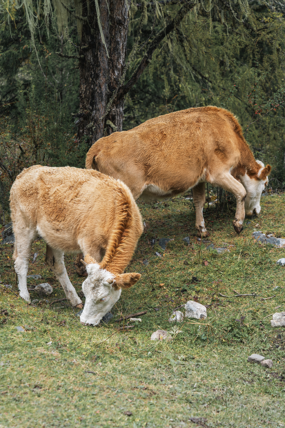 微信图片_20241017164052