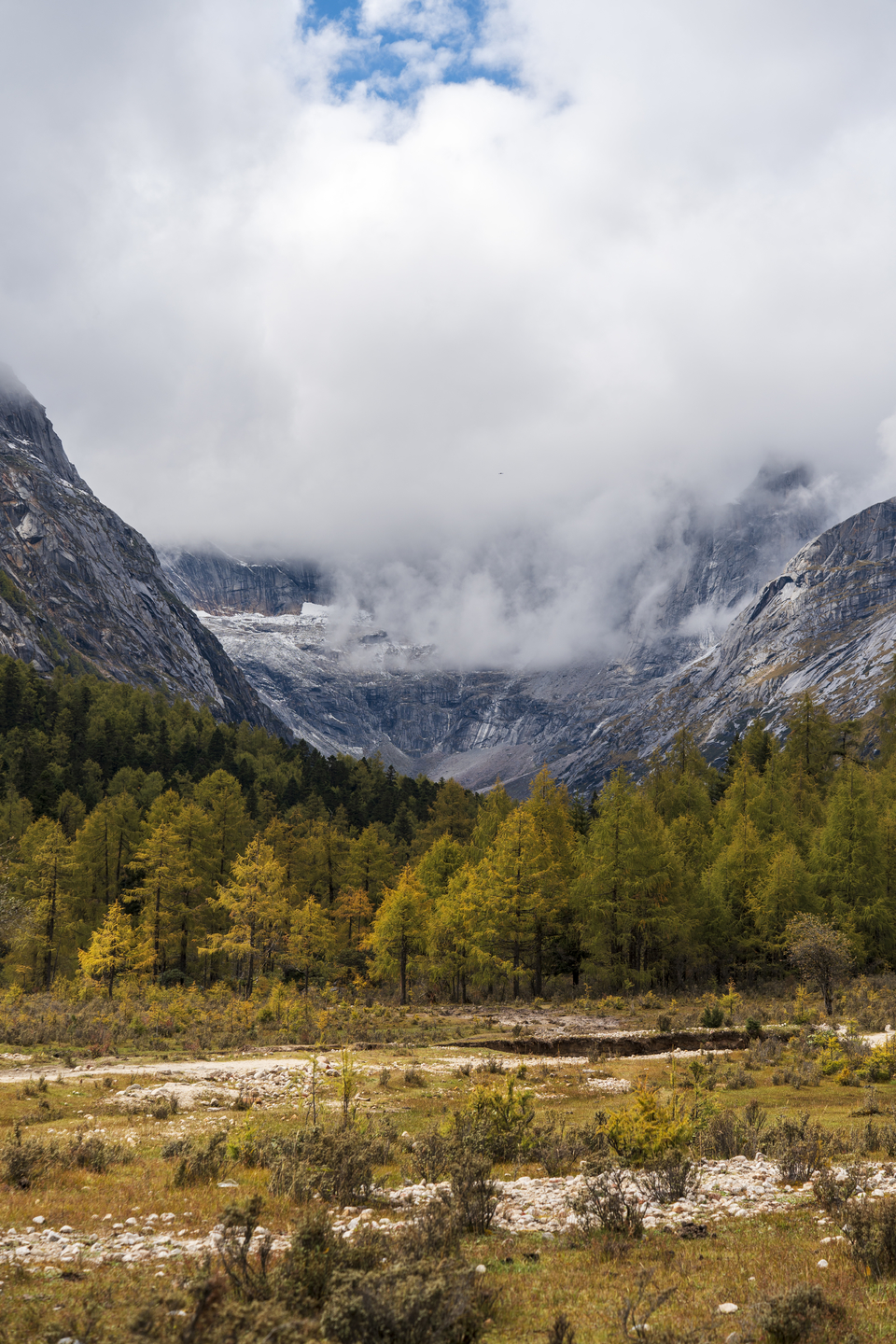 微信图片_20241017164056