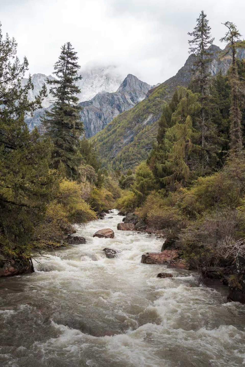 89f999258017f842137b019559d4b61