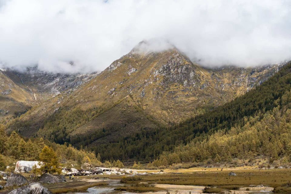 ffe803403ae380703e9184a58c05be4