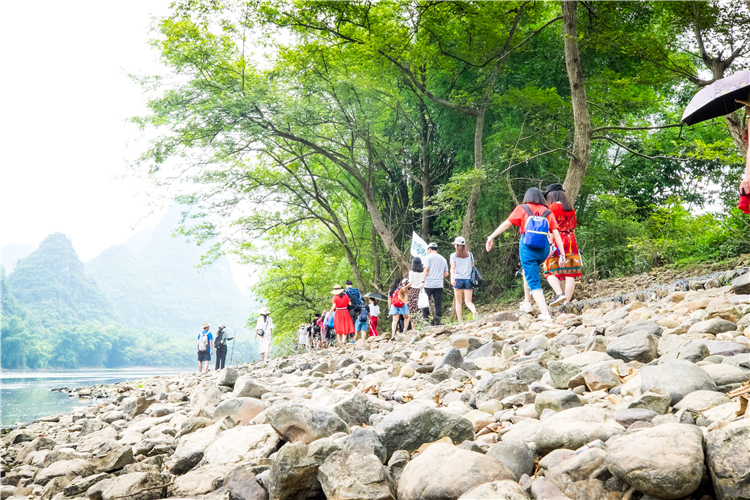 0a6960cd060584b463369228dd105fd