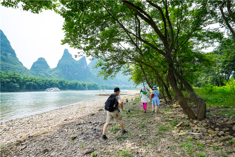 d6a23986fc5792d1b5b76eae5a6f9d5