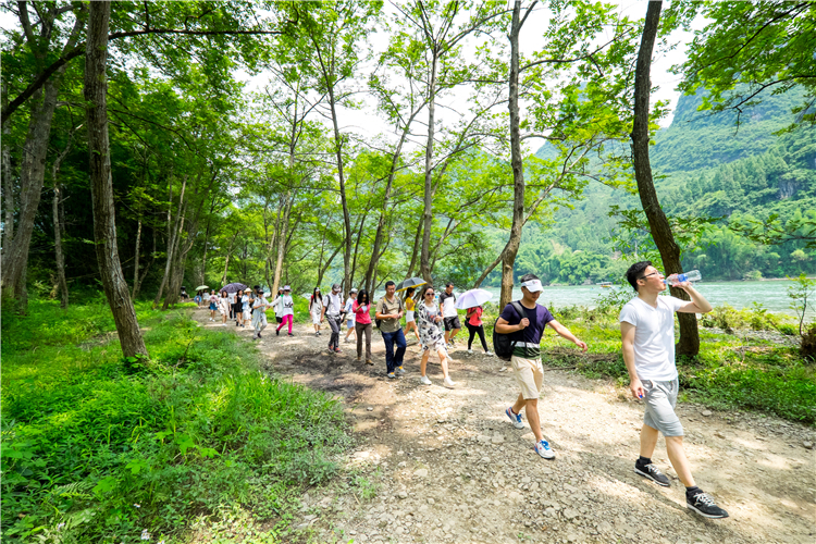 56aa537ba8aef0e4d76dcebc1472d37