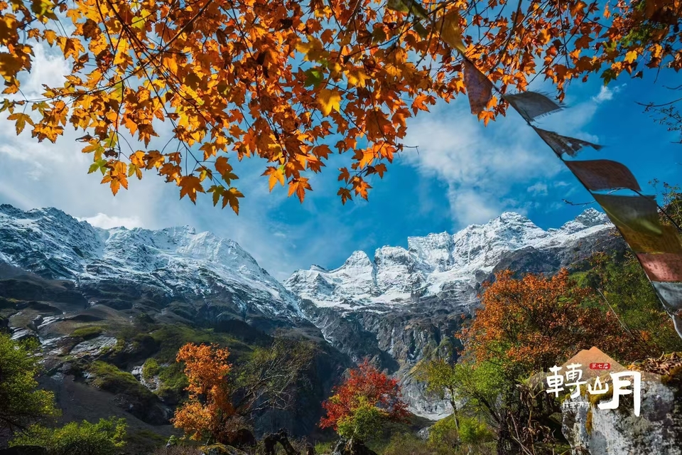 41efe756b8bbb03b2487b915ae284e5 - 副本