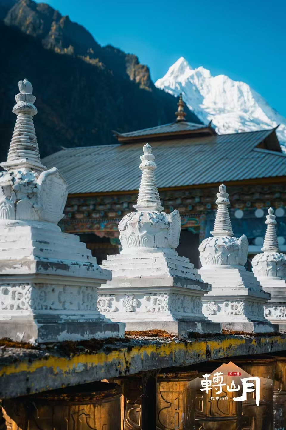 1f9796762357f2f502068a62e080deb - 副本