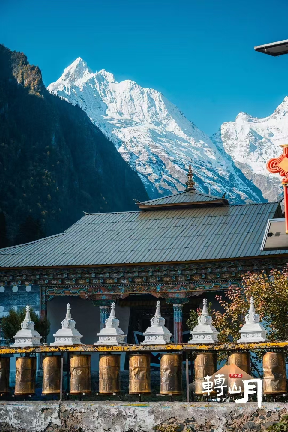 889ba6ef88bd34c8328ff5abca146b5 - 副本