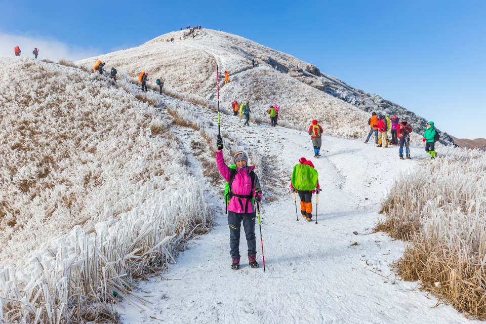 35de7830474103200498118e92154b4