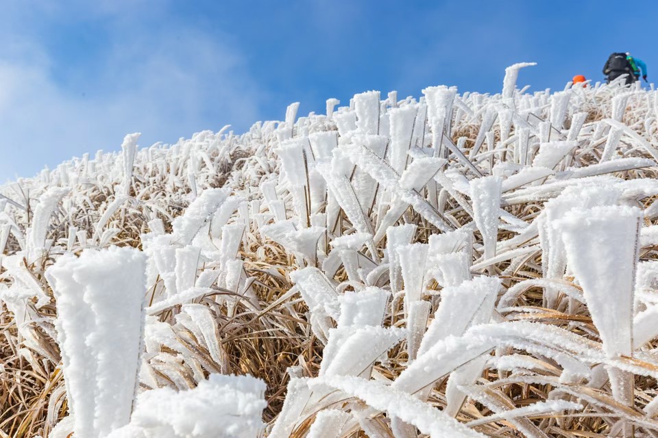 1f09b4366359c2300102af30ce33c78