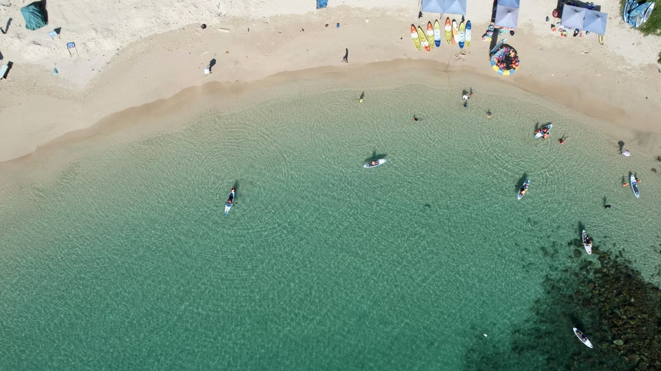 微信图片_20241029113516